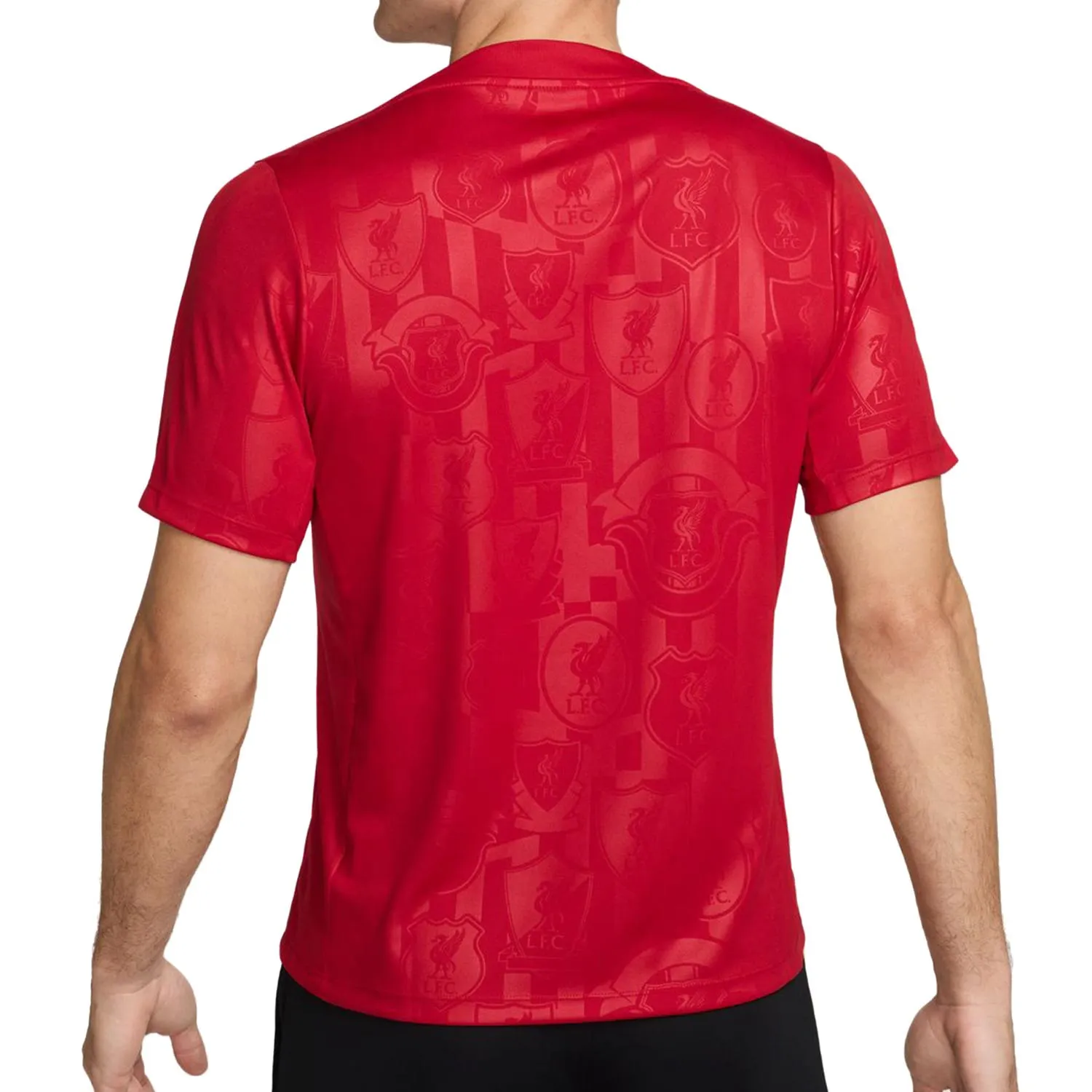 Camiseta Nike Liverpool Pre-Match Academy Dri-Fit