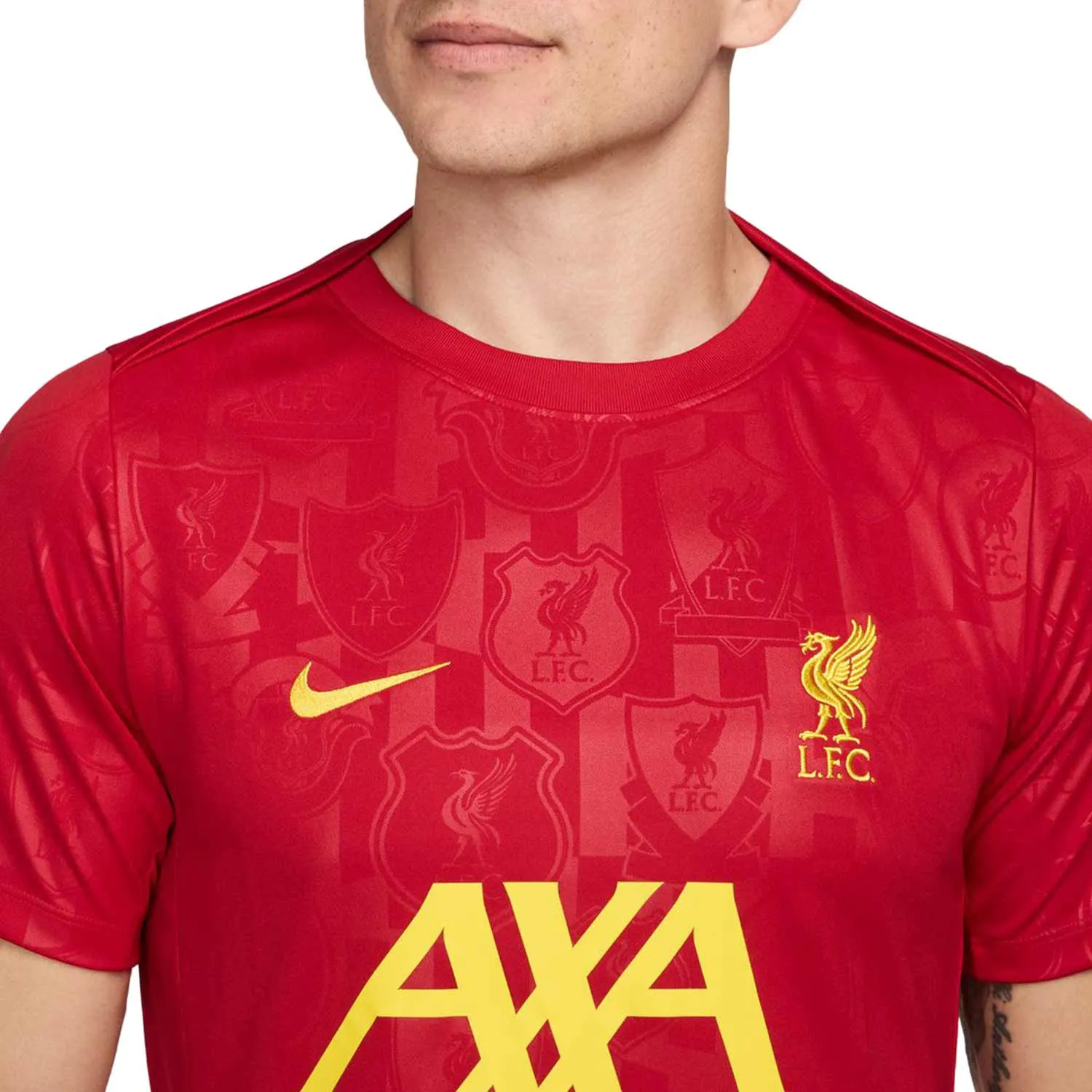 Camiseta Nike Liverpool Pre-Match Academy Dri-Fit