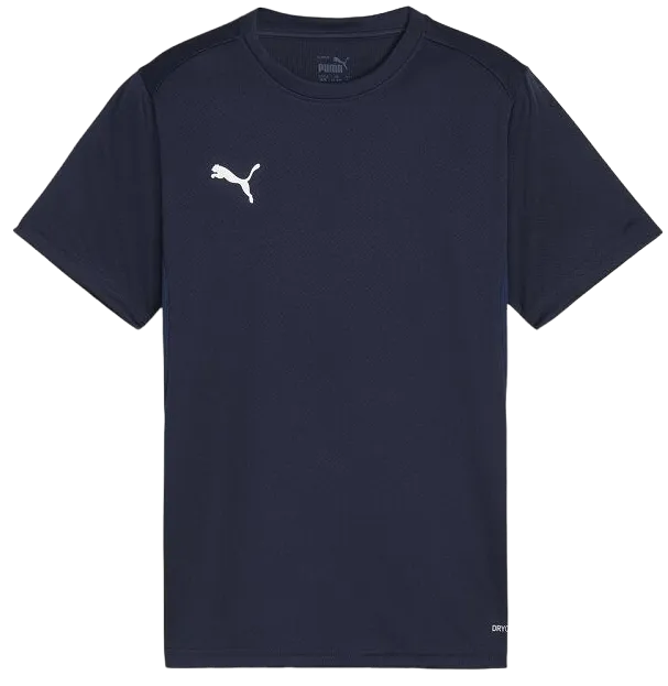 Camiseta Puma teamGOAL T-Shirt