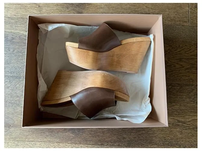 Gianvito Rossi Sandalias Castaño 