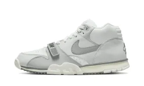 Nike Air Trainer 1 SP Photon Dust