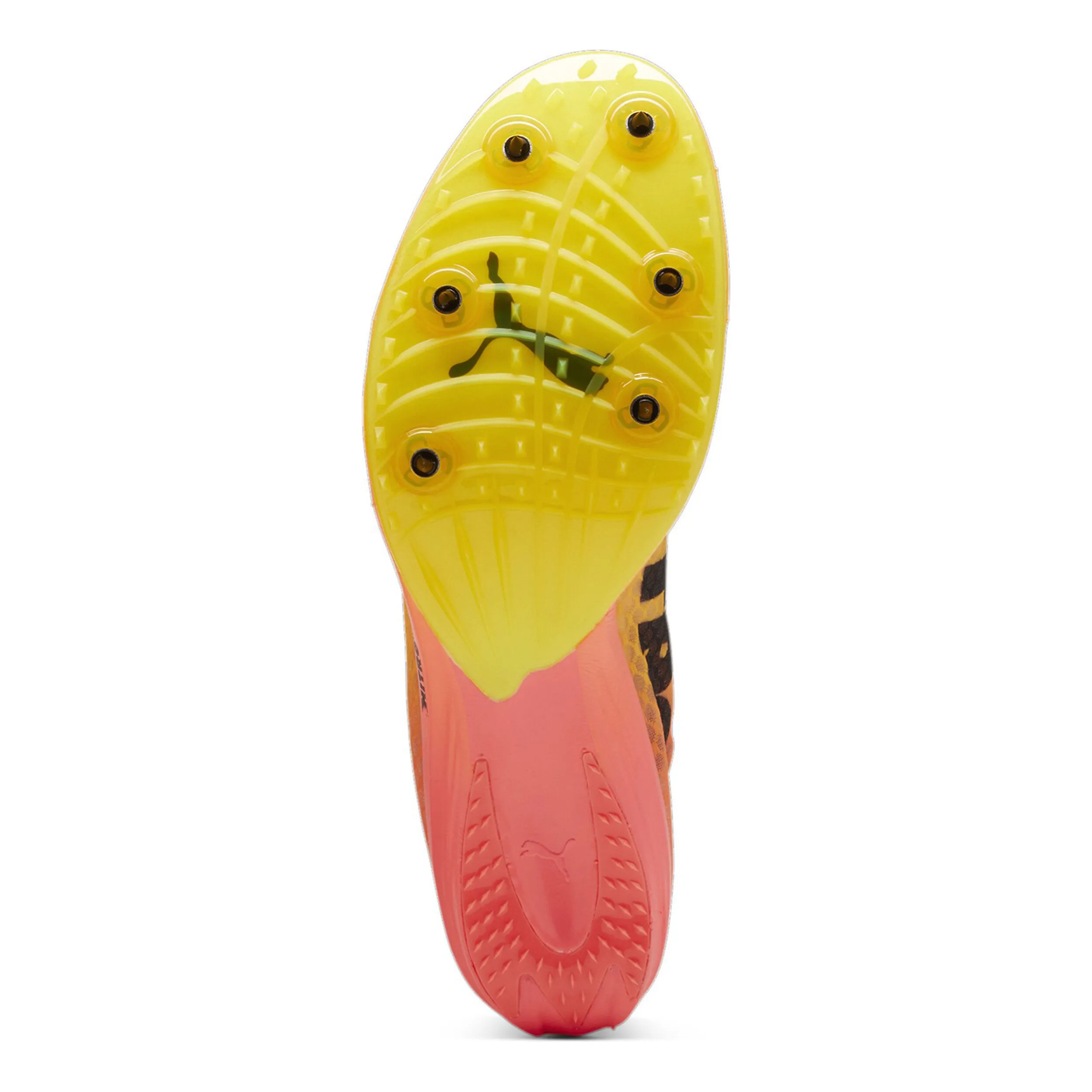 Puma EvoSPEED Distance Nitro Elite+ 4 Spikes