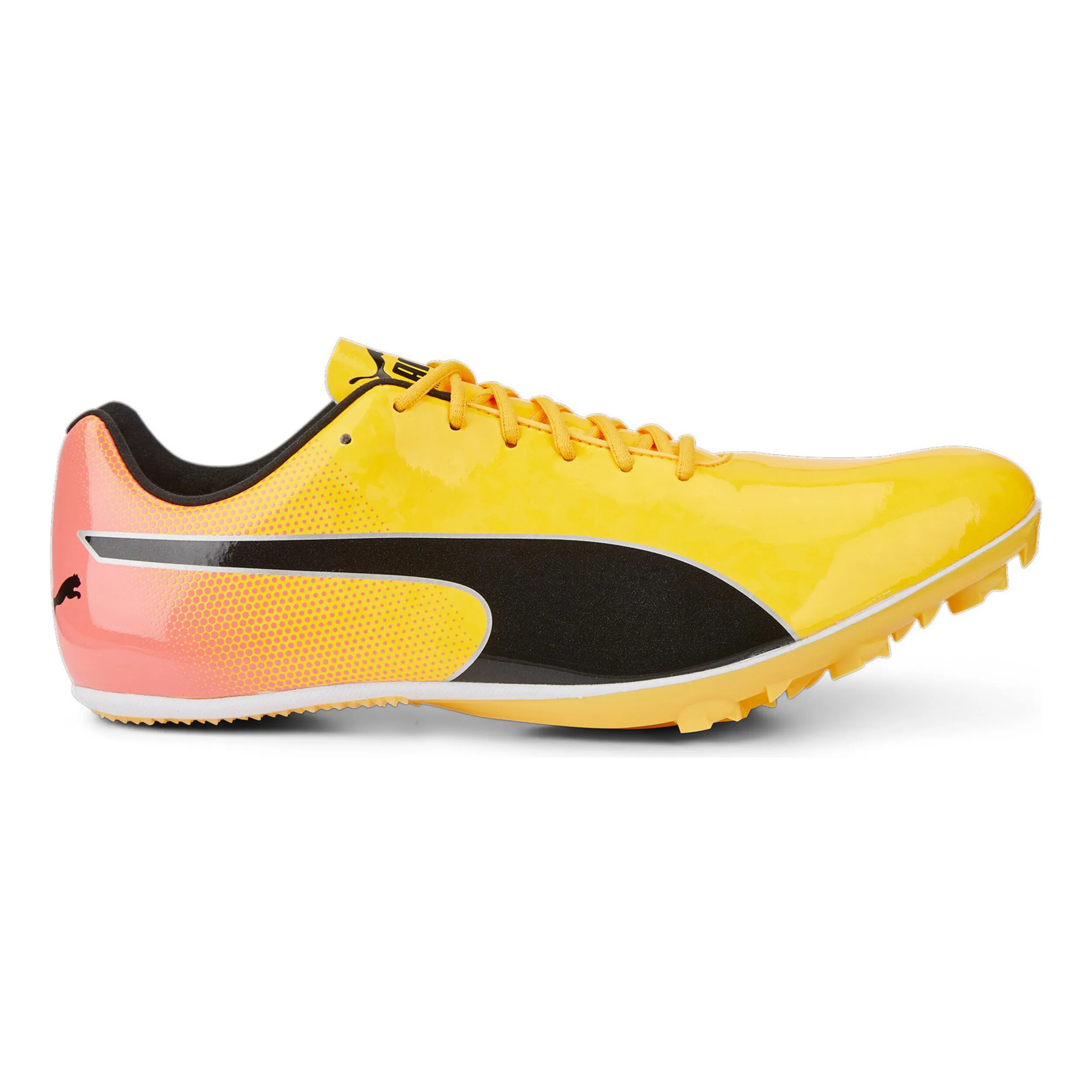 Puma EvoSPEED Sprint 14 Spikes