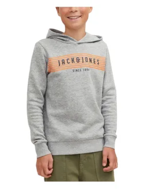 Sudadera Jcoplanet Grey Jack & Jones